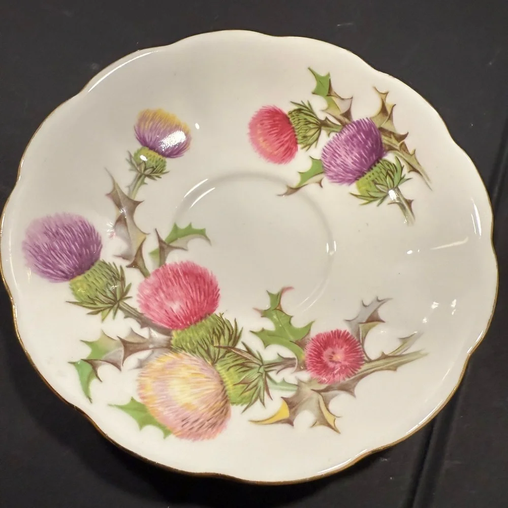 QUEEN ANNE TEA CUP & SAUCER - "DUNDEE THISTLE" FINE BONE CHINA Vintage - Picture 7 of 8